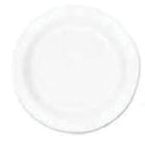 9" White Foam Non-laminated Plate 500/CS