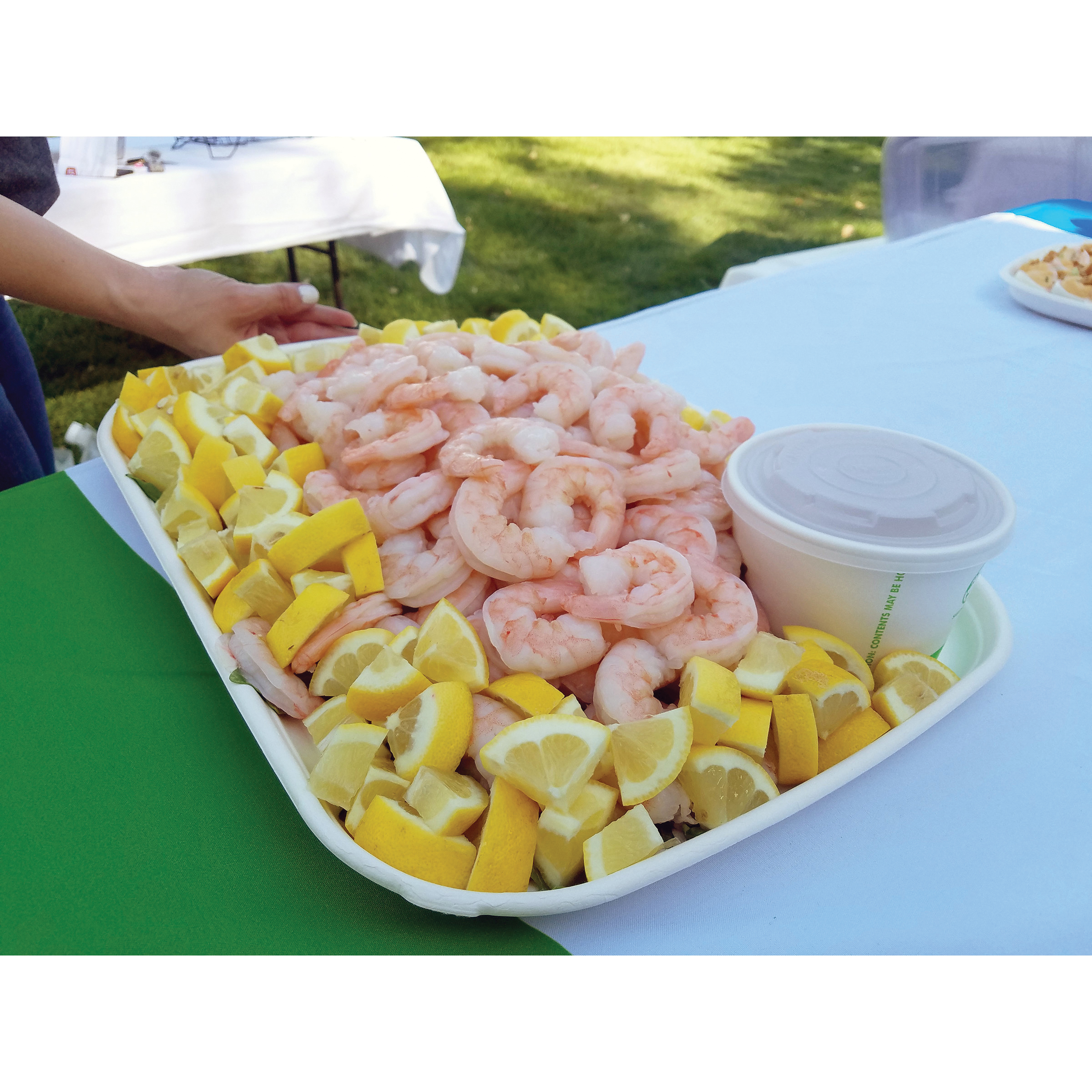 EP-SCTR1317 13x17 TRAY SUGARCANE 100/CS