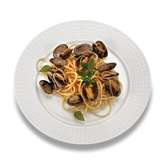 EMI-MJP10 10" WHITE MAJESTICPLATE  120/CS