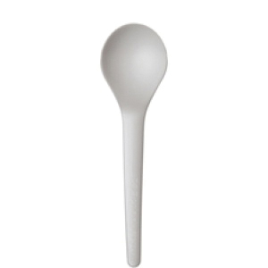 EP-S013 6" COMPOSTABLE SPOON1M/CS