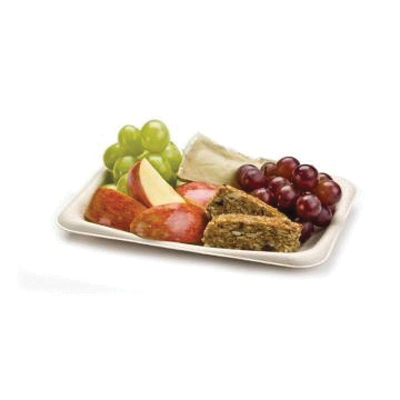 400608D300 PULP SNACK TRAY300/CS 8X6