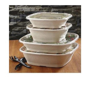 42141600D25 160oz SQ PULP BOWL25/CS
