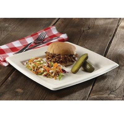 49210F300N 10" SQ PULP PLATE300/CS