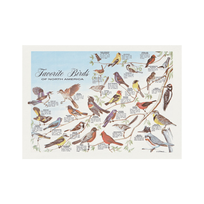 702025 FAVORITE BIRD TRAY MAT1M/CS