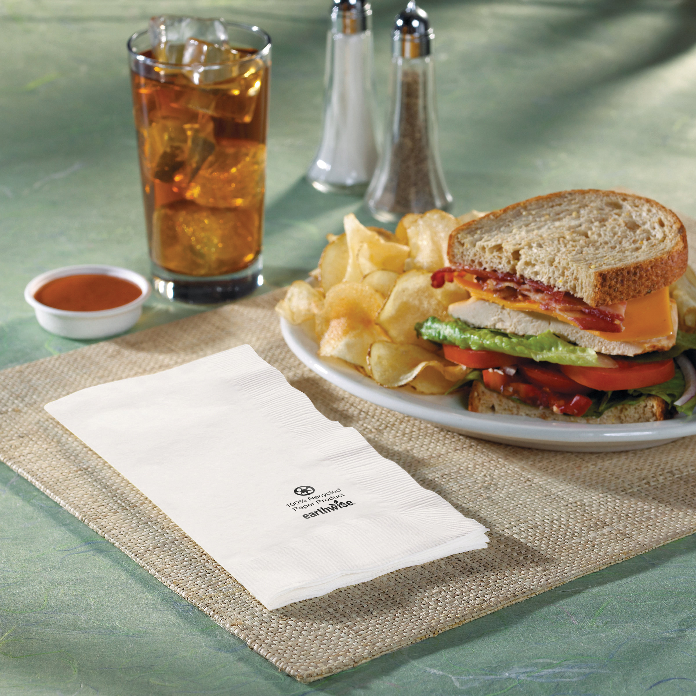 DN315-W 2PLY 15X17 DINNER NAP1M/CS EARTHWISE COMPOSTABLE