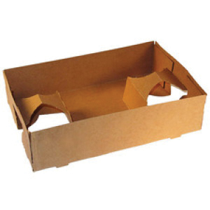 3607 B-TYPE CARRY TRAY 250/CS 10X6X2 4-CUP