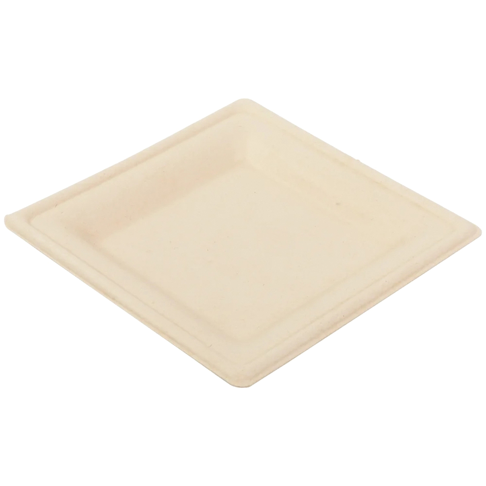 DP-66-NPFA 6" Fiber Square Plate 4/125/CS