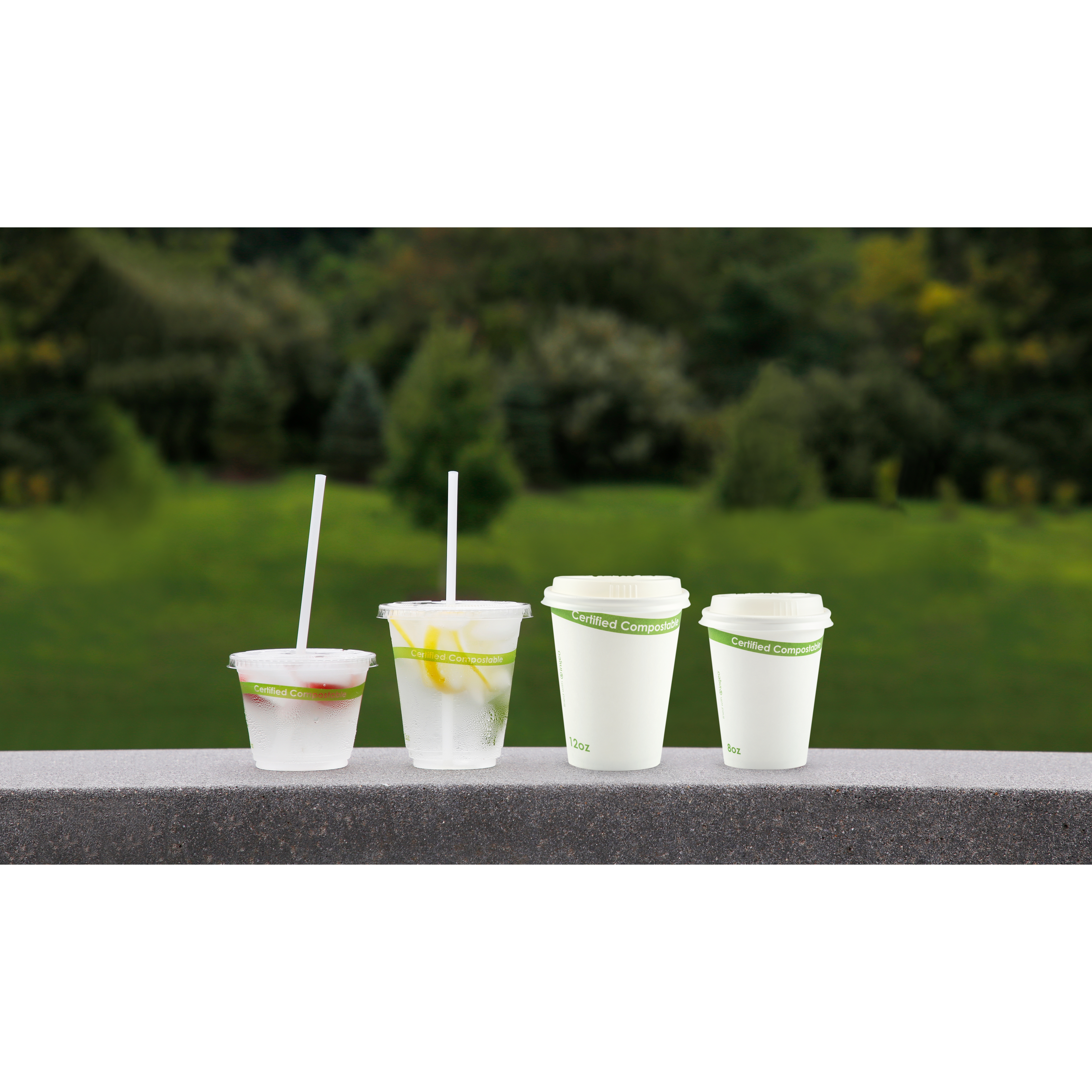 8oz CPLA LID-COMPOSTABLE 1M/CSWHITE  CHCL-8  20/50      S/0