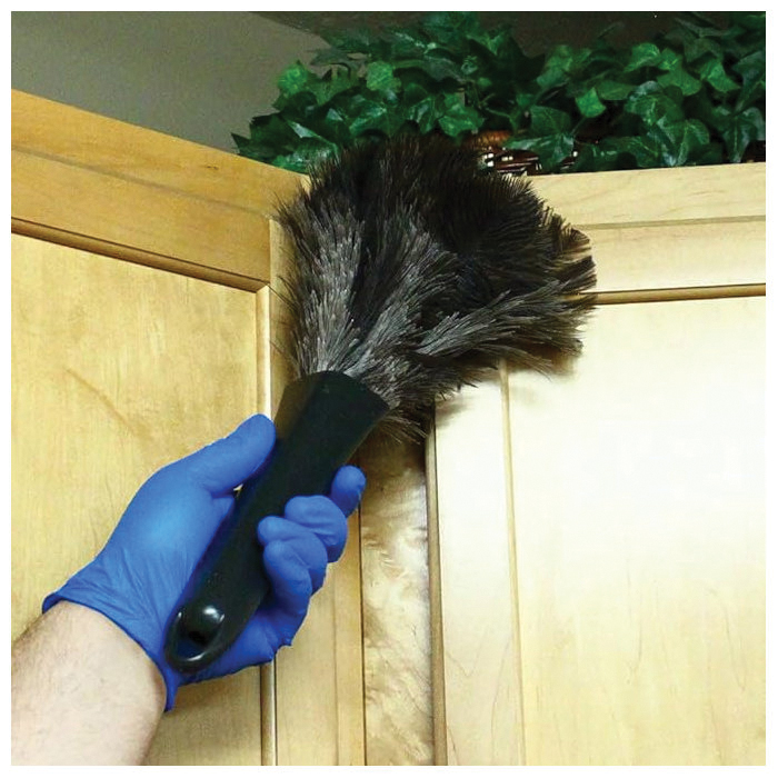 300118