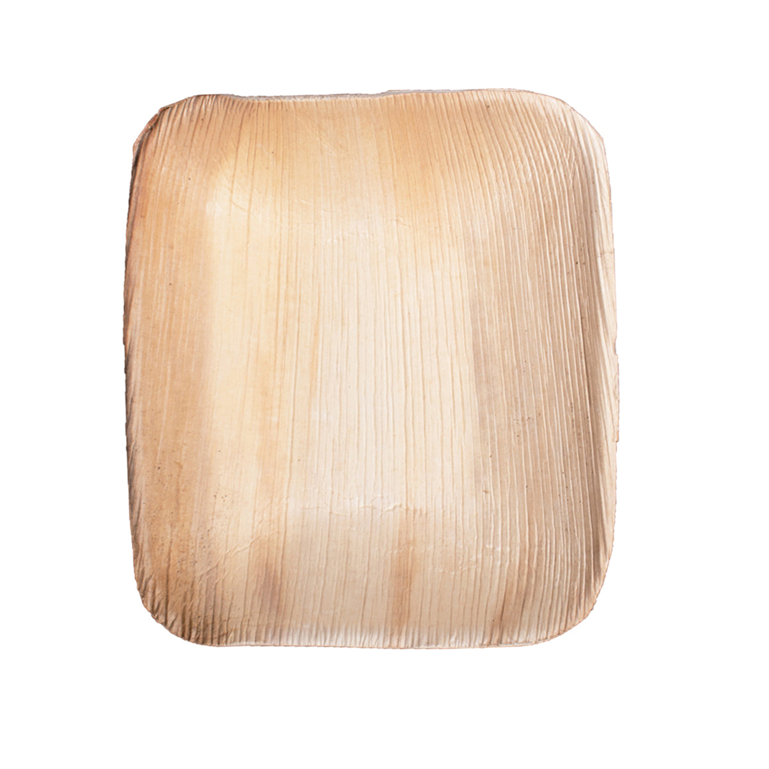 01-00-15B 6x8 PALM LEAF RECTANGULAR BOWL 300/CS