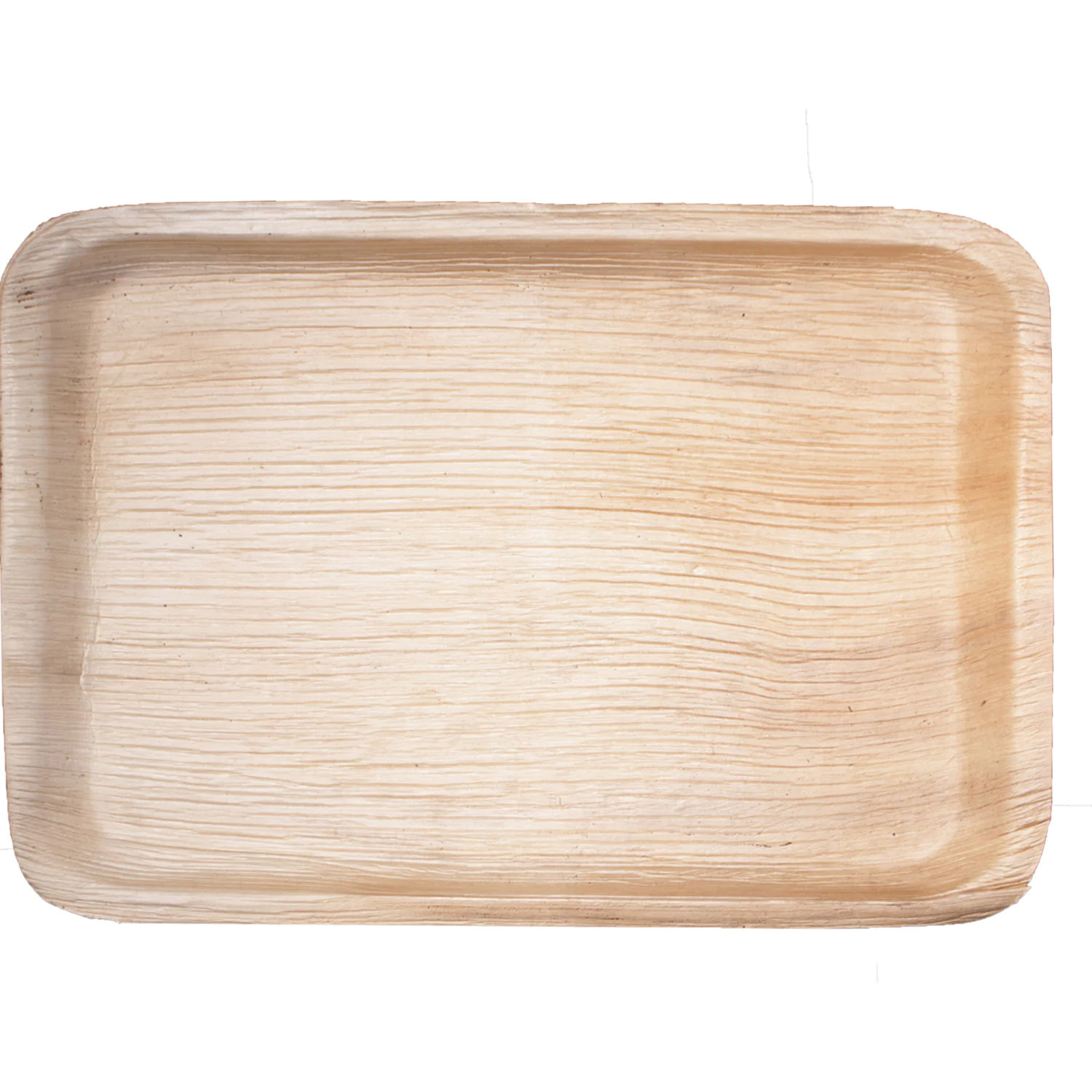 01-00-40T PALM LEAF 10X15 TRAY 50/CS