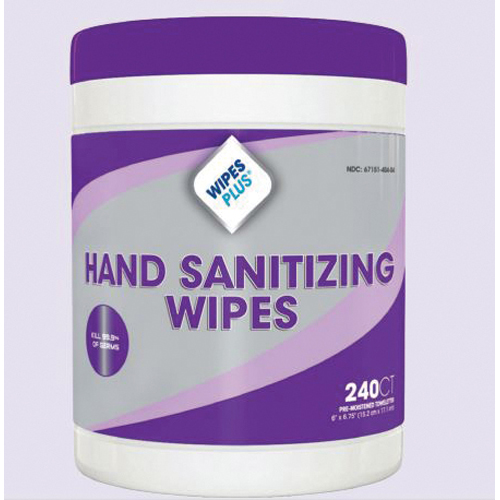 35004 HAND SANITIZING WIPES 1M10/100/CS