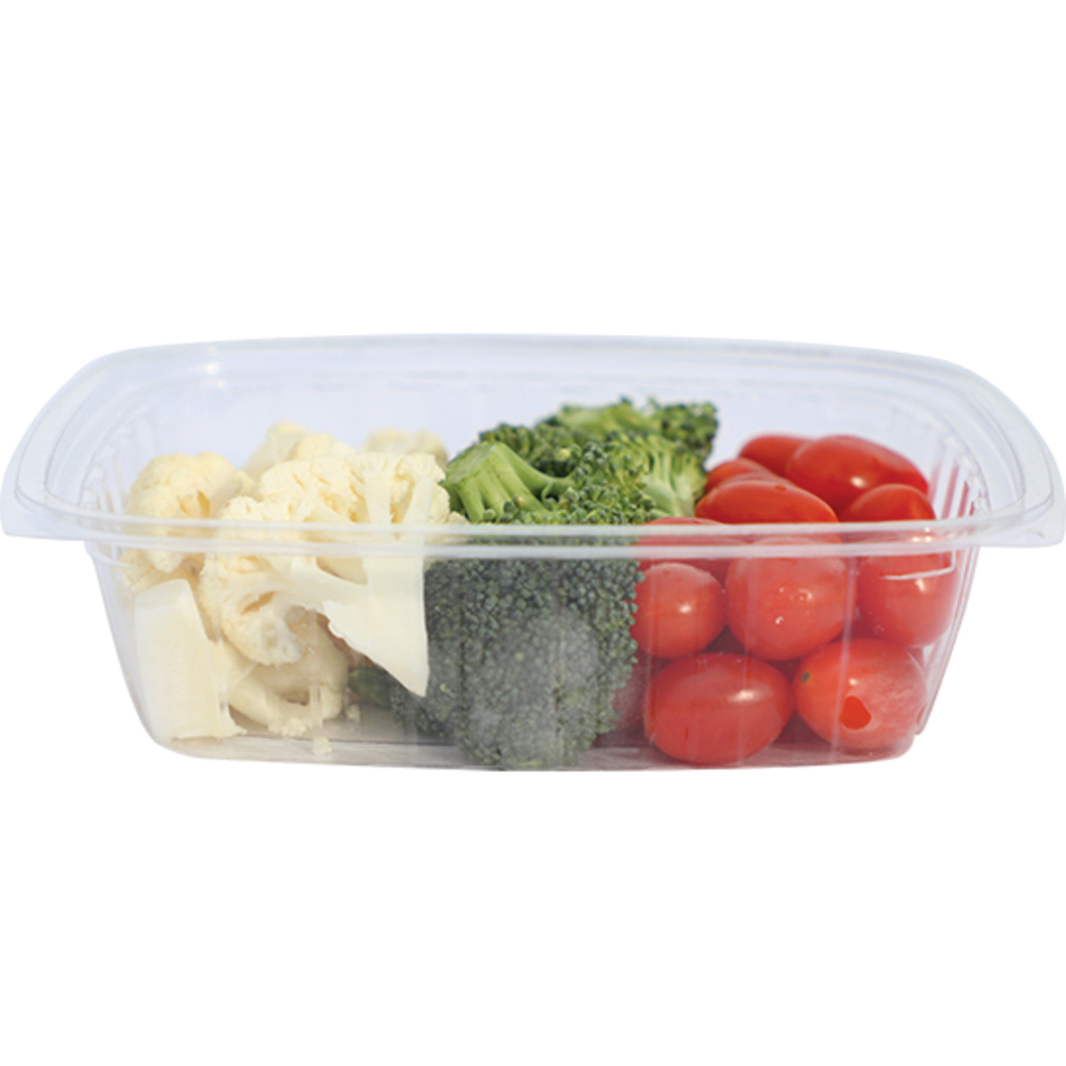 RD-CS-24oz Clear Rect Deli Cont Compostable 600/cs