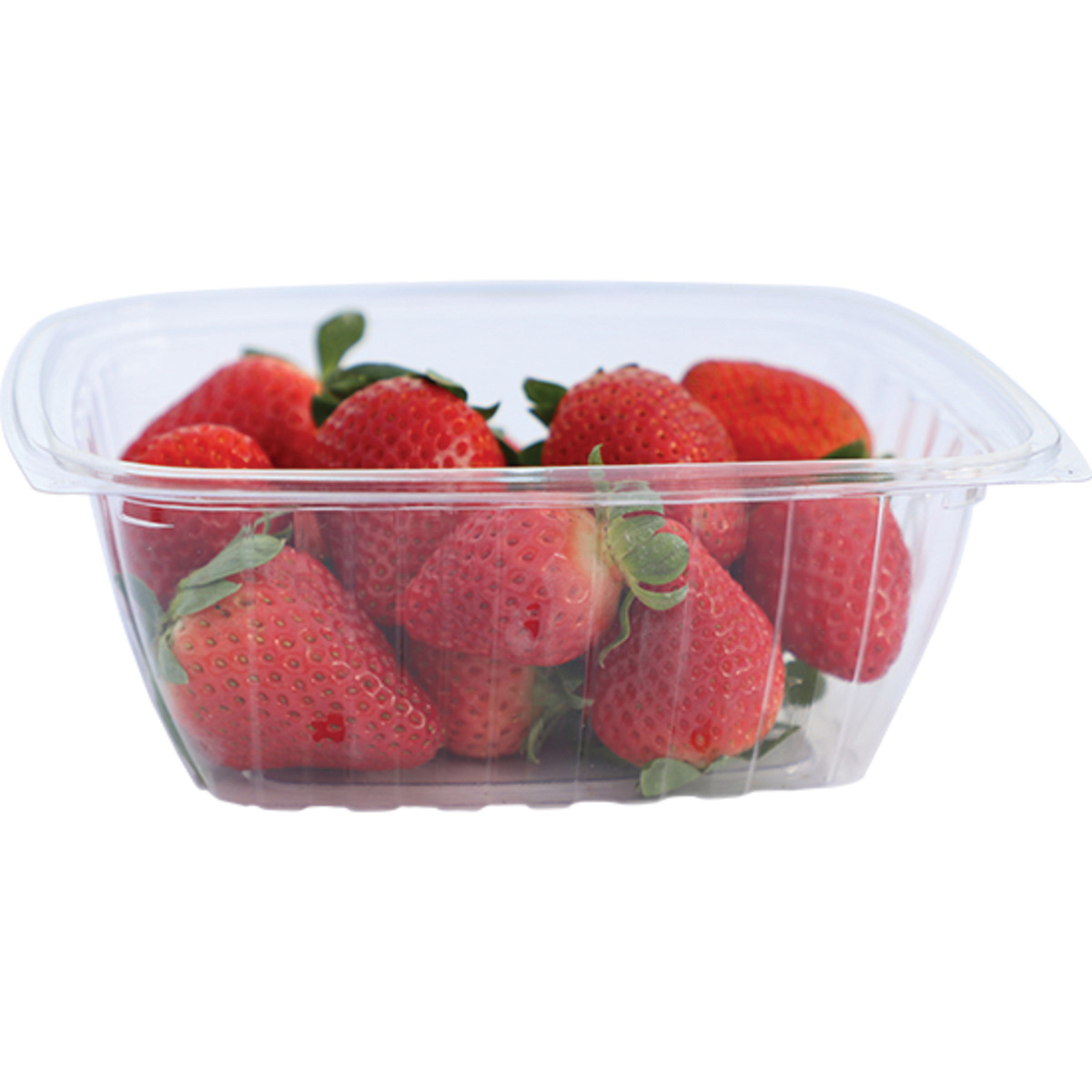 RD-CS-32oz Clear Rect Deli Cont Compostable 600/cs
